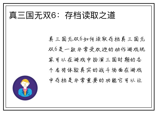 真三国无双6：存档读取之道